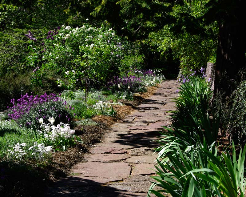 The Lilac Terrace in Spring - Everglades - Leura